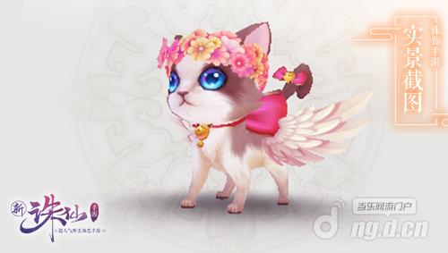 图5 超萌的二代喵呜.jpg