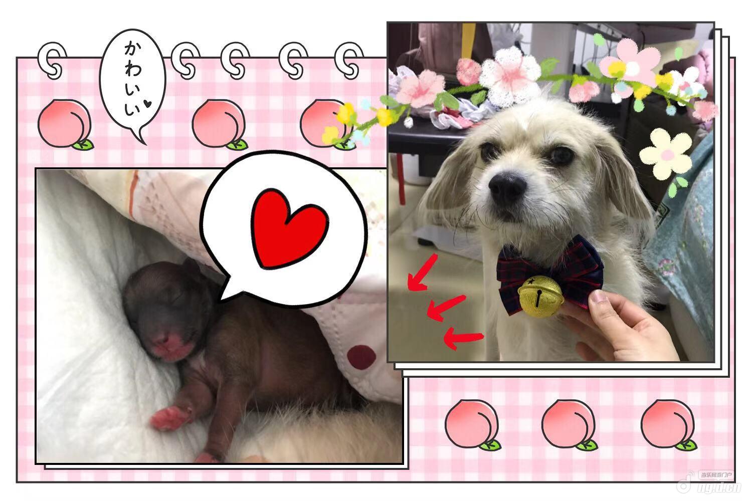 微信图片_20190102151209.jpg 微信图片_20190102151209.jpg